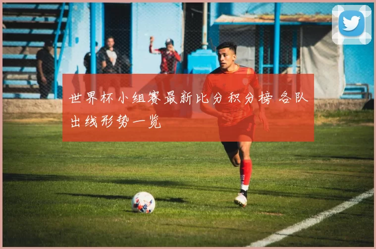 世界杯小组赛最新比分积分榜 各队出线形势一览