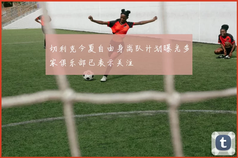 切利克今夏自由身离队计划曝光多家俱乐部已表示关注