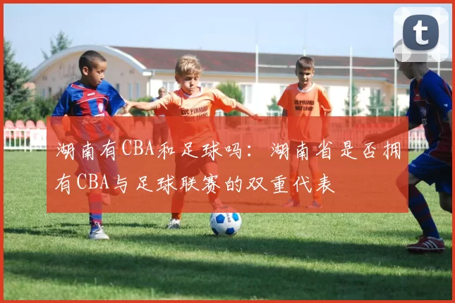 湖南有CBA和足球吗：湖南省是否拥有CBA与足球联赛的双重代表