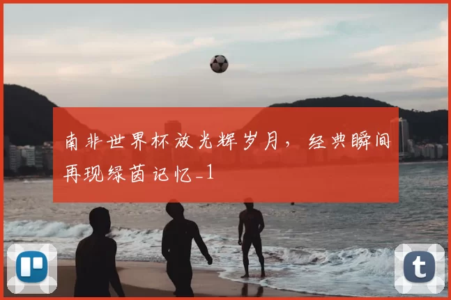 南非世界杯放光辉岁月,经典瞬间再现绿茵记忆_1