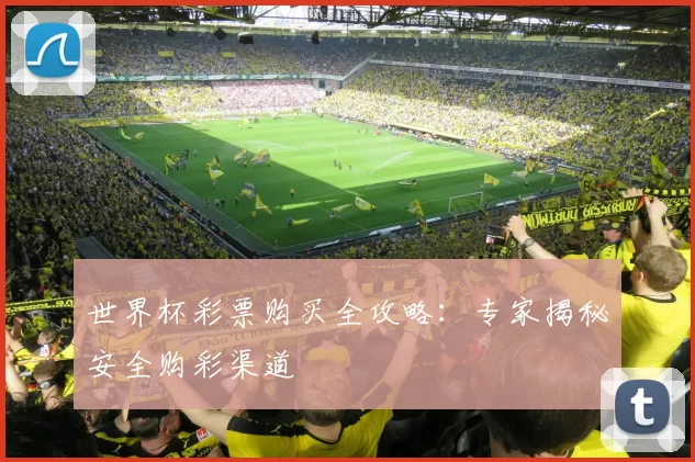 世界杯彩票购买全攻略：专家揭秘安全购彩渠道