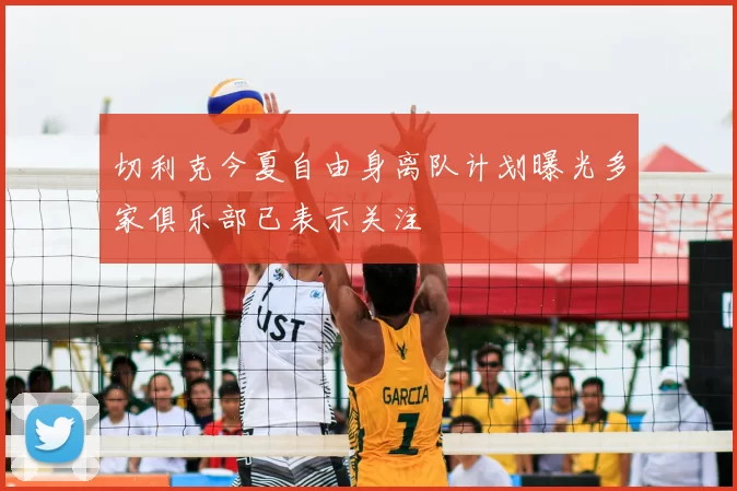 切利克今夏自由身离队计划曝光多家俱乐部已表示关注