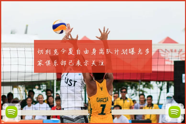 切利克今夏自由身离队计划曝光多家俱乐部已表示关注