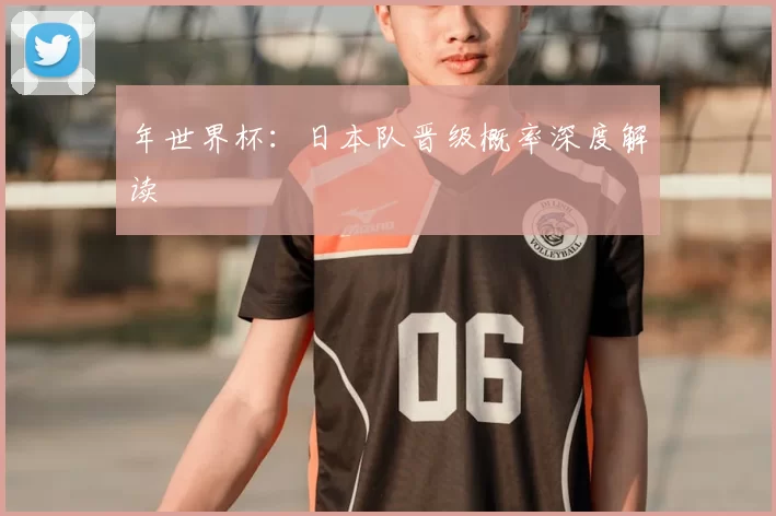 年世界杯:日本队晋级概率深度解读