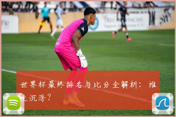 世界杯最终排名与比分全解析：谁主沉浮？