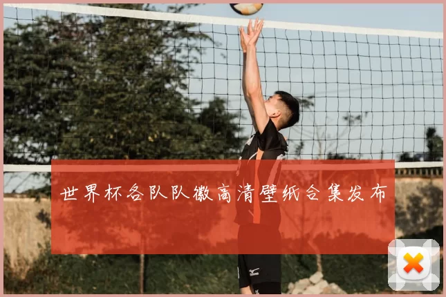 世界杯各队队徽高清壁纸合集发布