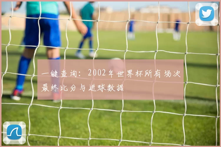 一键查询:2002年世界杯所有场次最终比分与进球数据