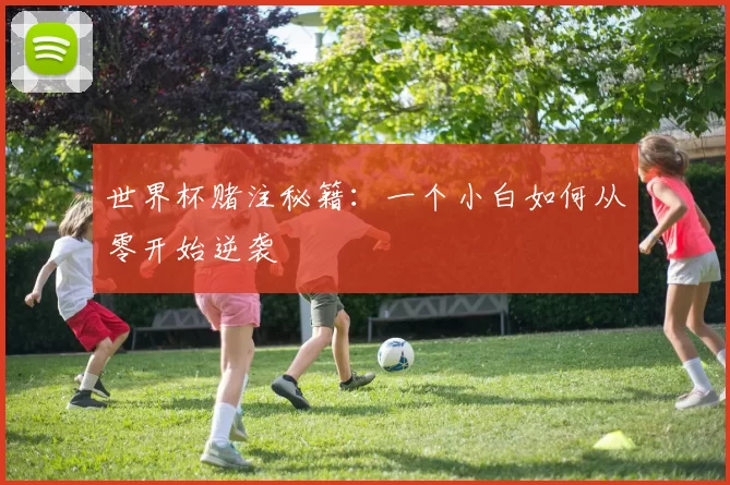 世界杯赌注秘籍：一个小白如何从零开始逆袭