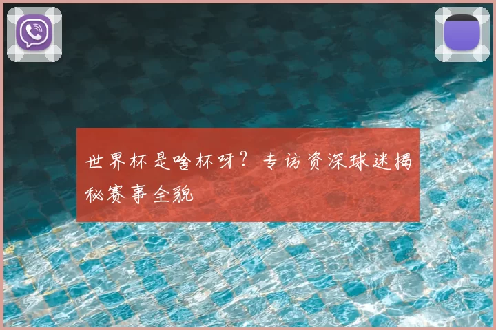 世界杯是啥杯呀?专访资深球迷揭秘赛事全貌