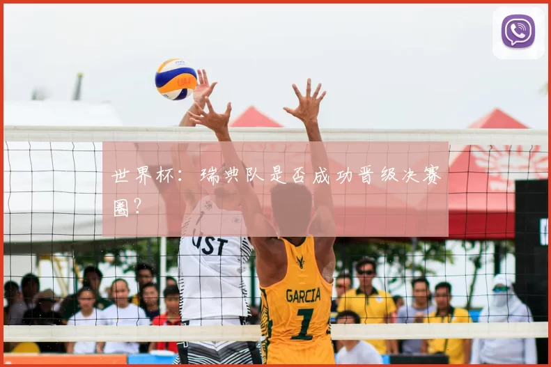世界杯:瑞典队是否成功晋级决赛圈?