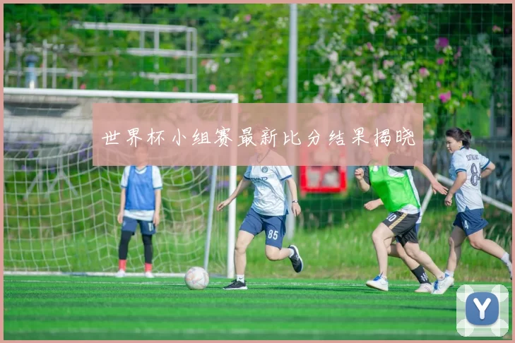 世界杯小组赛最新比分结果揭晓