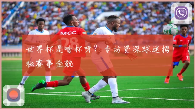 世界杯是啥杯呀?专访资深球迷揭秘赛事全貌