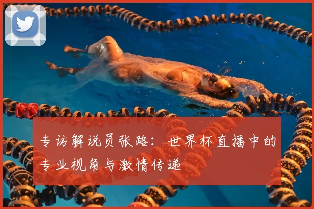 专访解说员张路:世界杯直播中的专业视角与激情传递