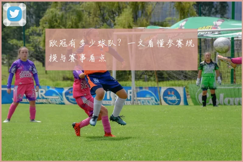 欧冠有多少球队？一文看懂参赛规模与赛事看点