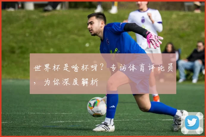 世界杯是啥杯呀？专访体育评论员，为你深度解析