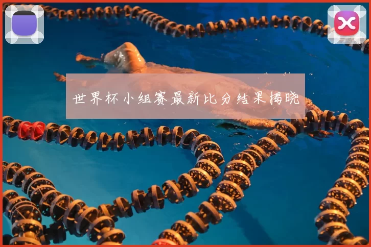 世界杯小组赛最新比分结果揭晓