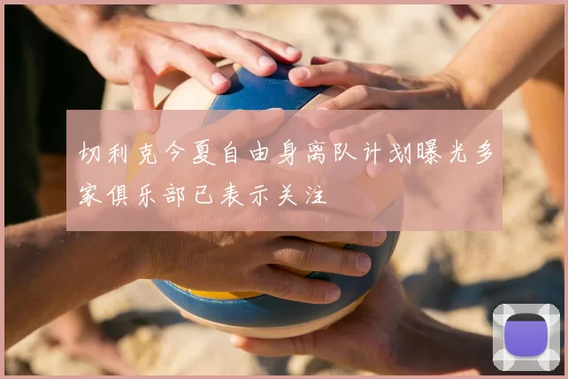 切利克今夏自由身离队计划曝光多家俱乐部已表示关注